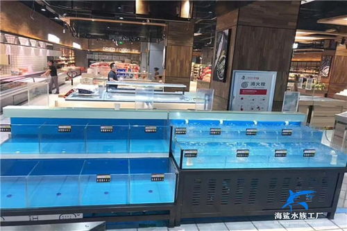 丰城市超市鱼缸制作，匠心之选——海鲨水族工厂携手广宏网络